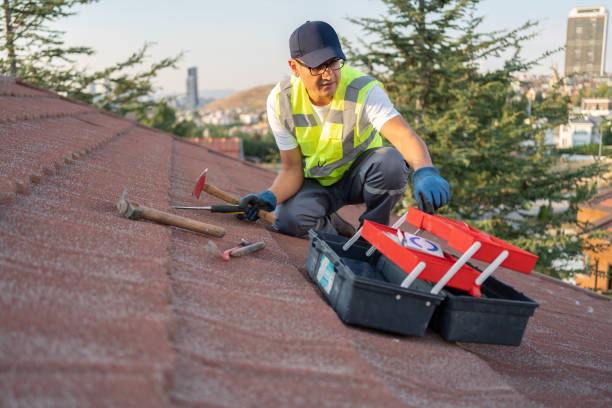 Trusted Black Forest, CO Junk Removal Experts